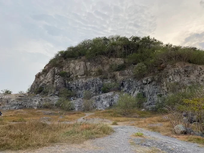 Đồi Con Heo mùa hè