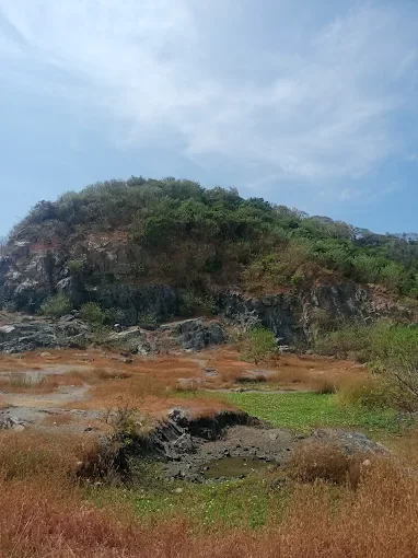 Đồi Con Heo mùa xuân