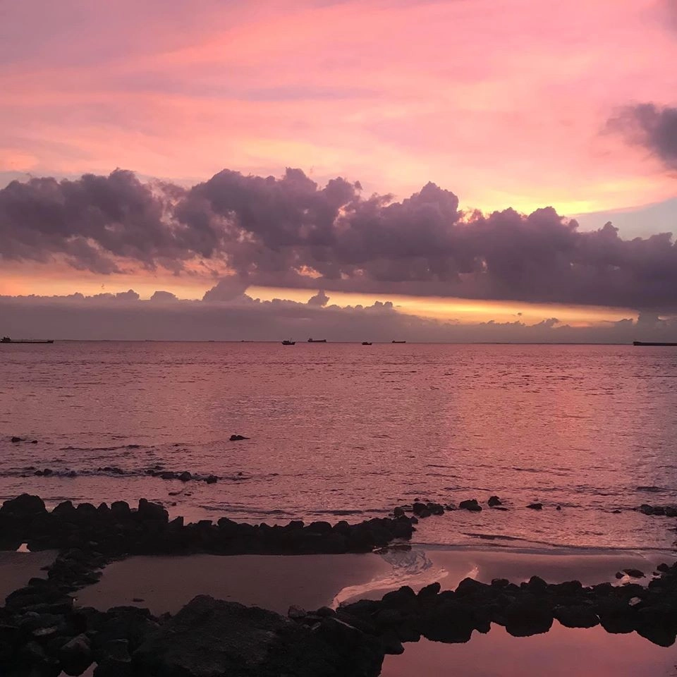 Bãi Dứa Vũng Tàu