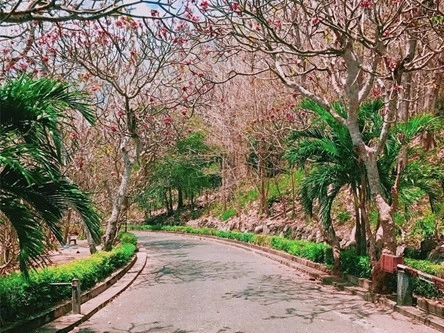 Cung đường đẹp dẫn lên ngôi Dinh thự