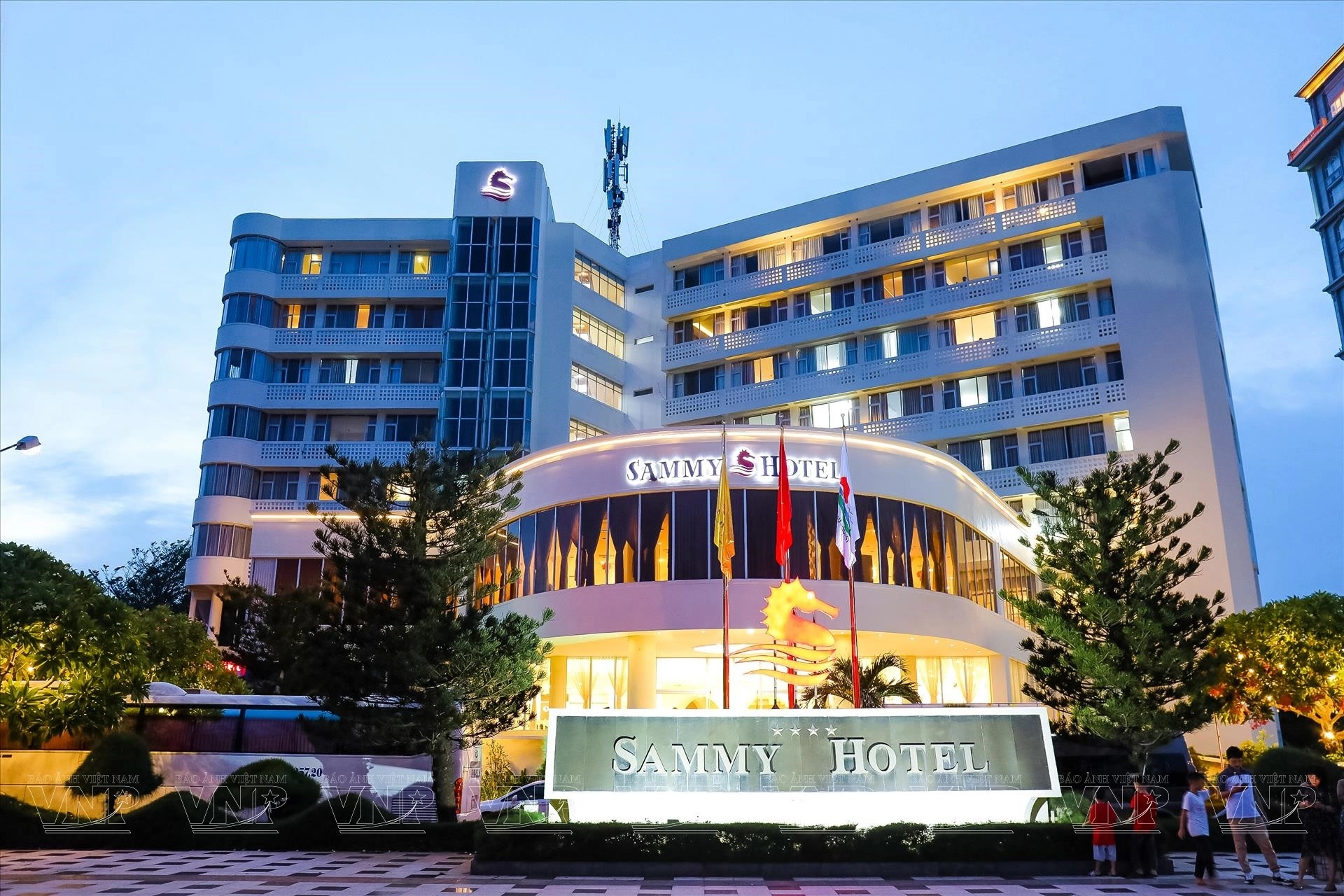 Sammy Hotel Vũng Tàu - Ảnh 5