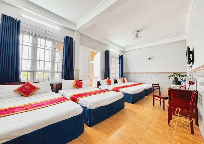 Phượng Hoàng - Ảnh 3