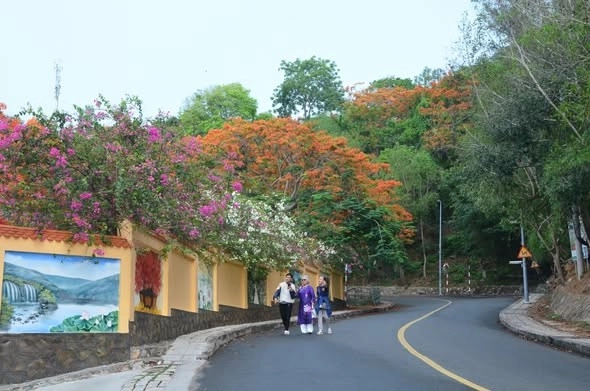 Phường Vũng Tàu Tích Cực Chuẩn Bị Cho Sự Kiện Leo Núi Hải Đăng Ngày 28/3/2026