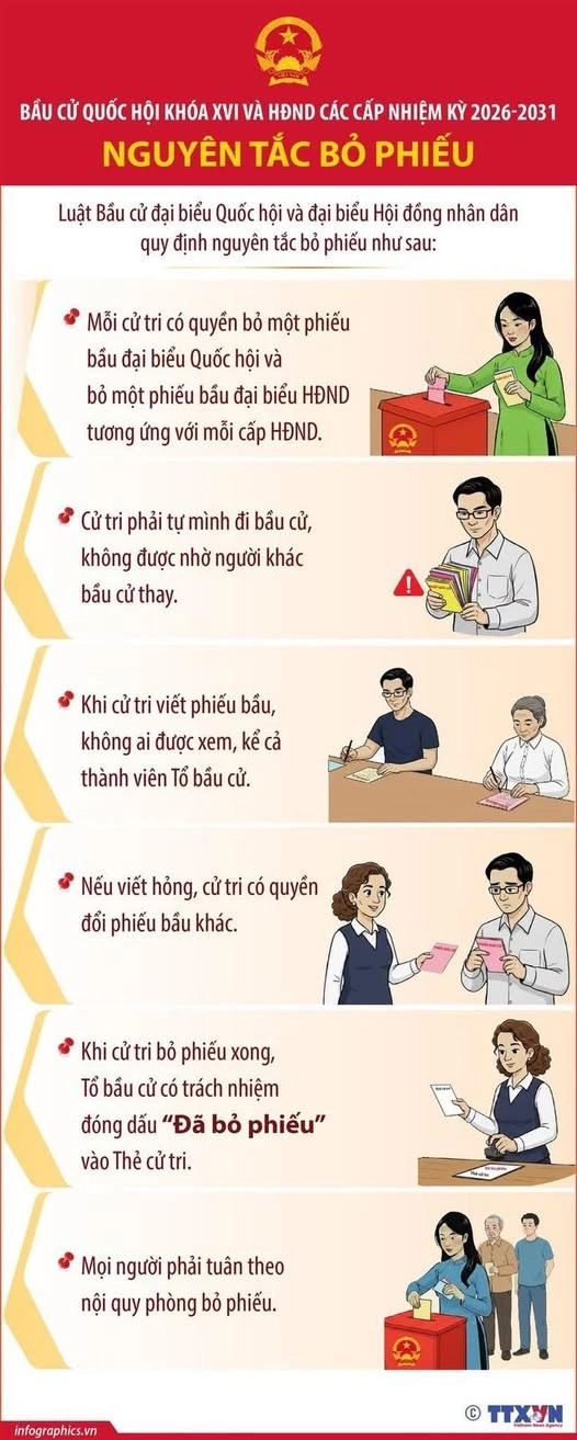 Nguyên Tắc Bỏ Phiếu Bầu Cử Quốc Hội Và Hội Đồng Nhân Dân Theo Quy Định Pháp Luật
