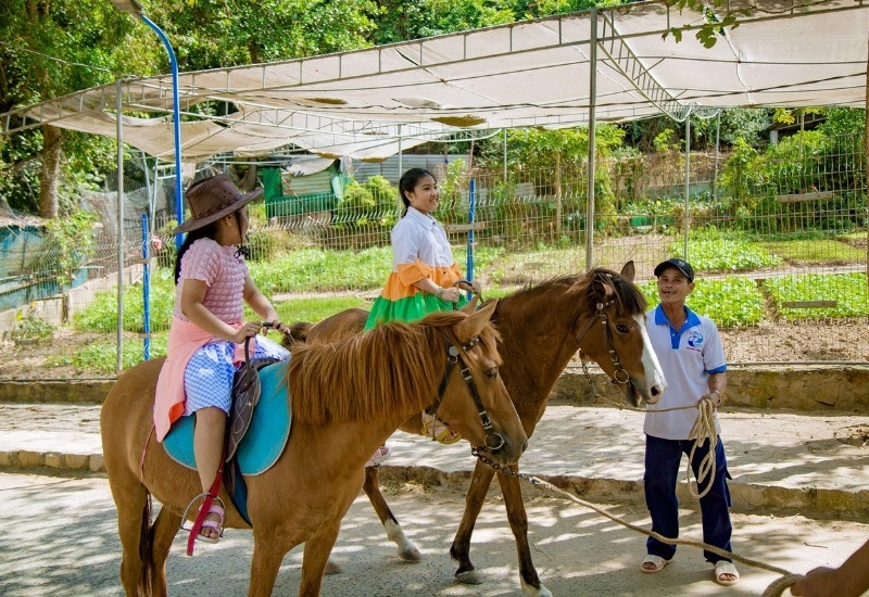 Trải nghiệm cưỡi ngựa đầy thích thú và mới lạ cho các bé